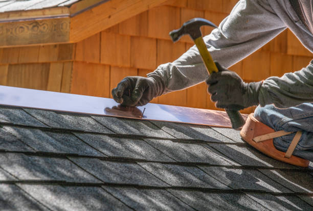 Best Roof Maintenance and Cleaning  in Caryville, TN