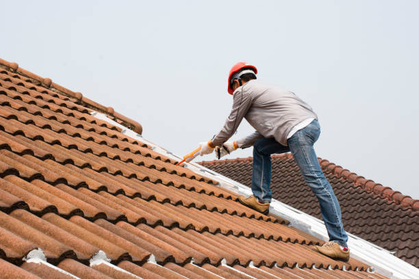 Best Gutter Installation and Repair  in Caryville, TN